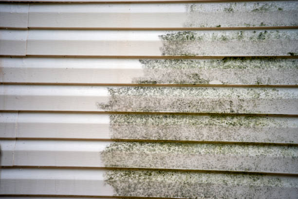 Best Property Management Cleanouts  in Fairfield University, CT